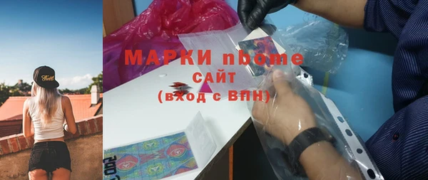 индика Аркадак