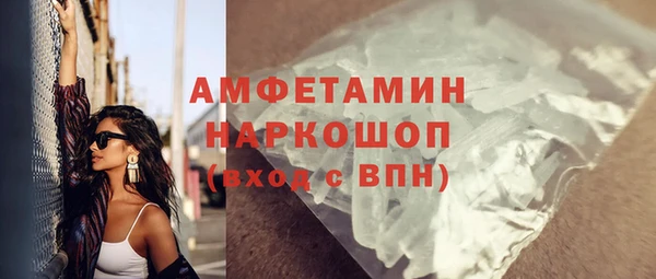 индика Аркадак